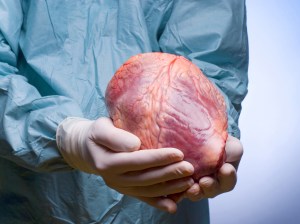 heart