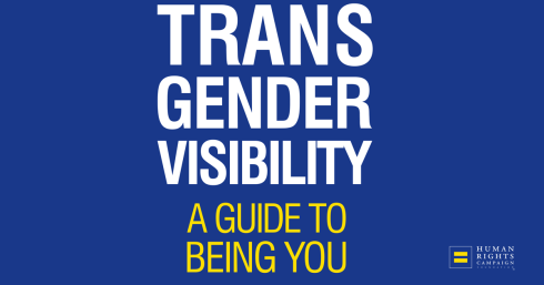 TransVisibilityGuide-Share1200.png
