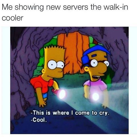 Photo of Bart Simpson and Milhouse Van Houten from The Simpsons. Milhouse says "This is where I come to cry" showing Bart a tunnel and Bart says "Cool." The caption of the meme says "Me showing new servers the walk-in cooler."