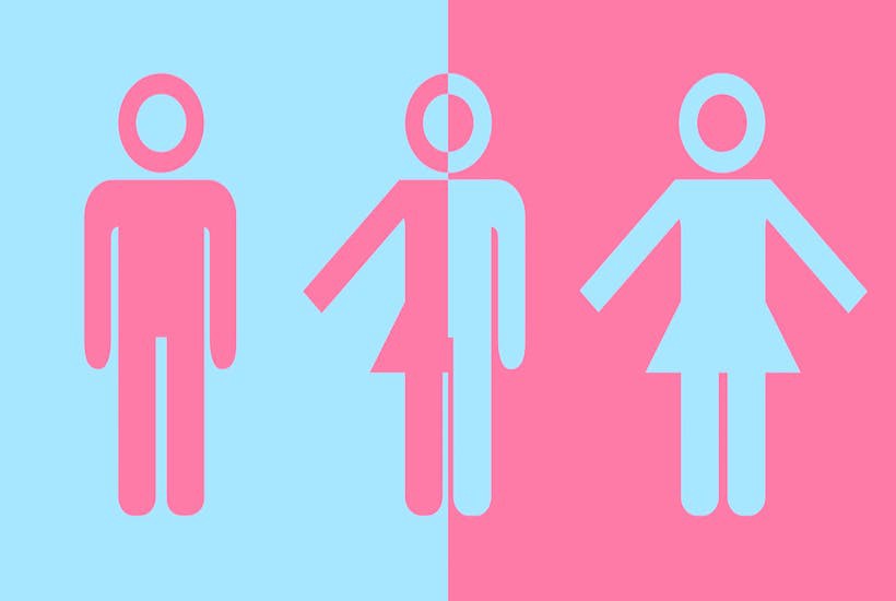 This blue and pink image depicts a stereotypical male figure, a half male half female figure, and a stereotypical female figure. The figures are similar to traditional bathroom signs.