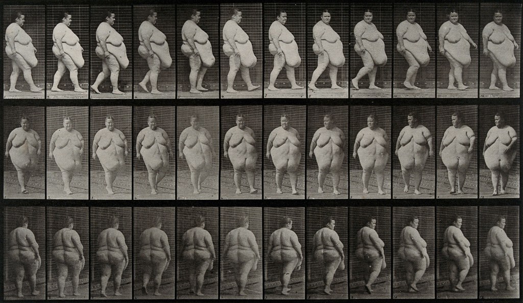 36 chronologically taken photographs of a fat, naked body.
revealing right side profile, front profile, and back profile