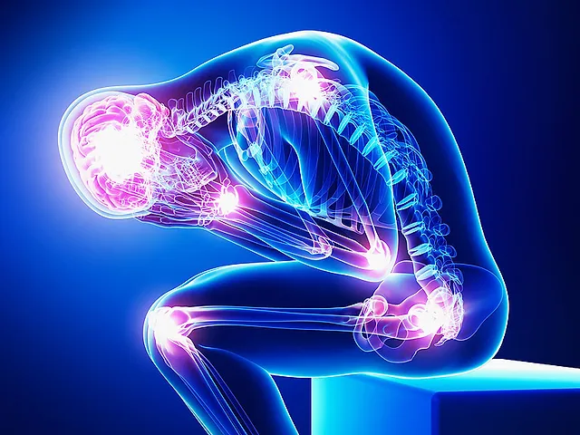 The image is of a human skeleton with visible pain sensors. 